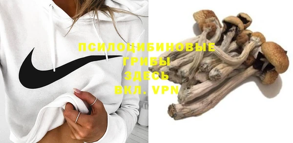 мяу мяу мука Абинск