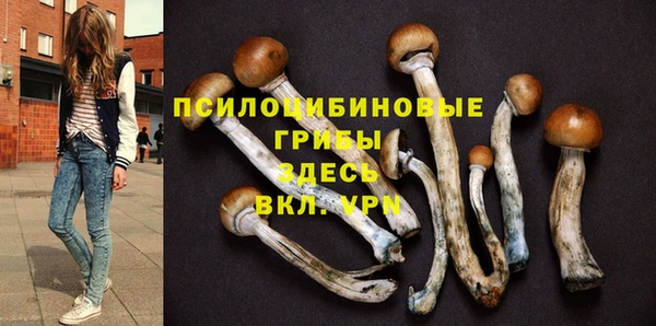мяу мяу мука Абинск
