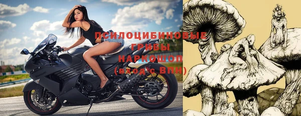 а пвп мука Абаза